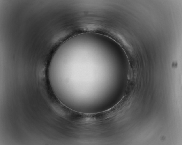 X0000103310543200808291431