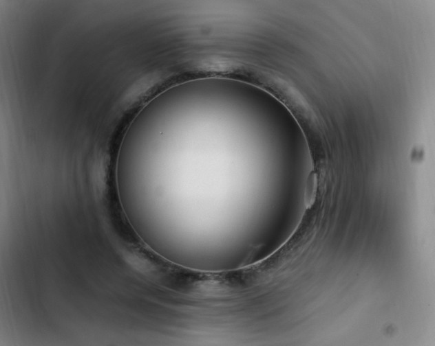 X0000103310544200808291431
