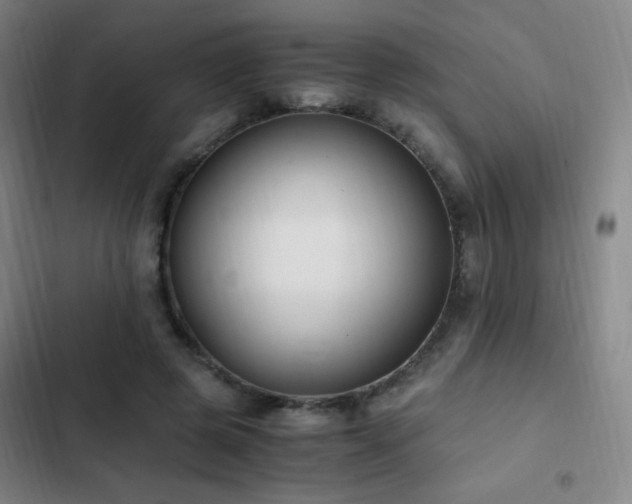X0000103310545200808291431