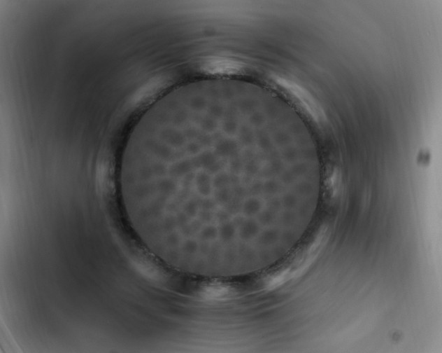 X0000103310547200808291431