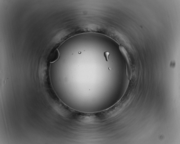 X0000103310548200808291431