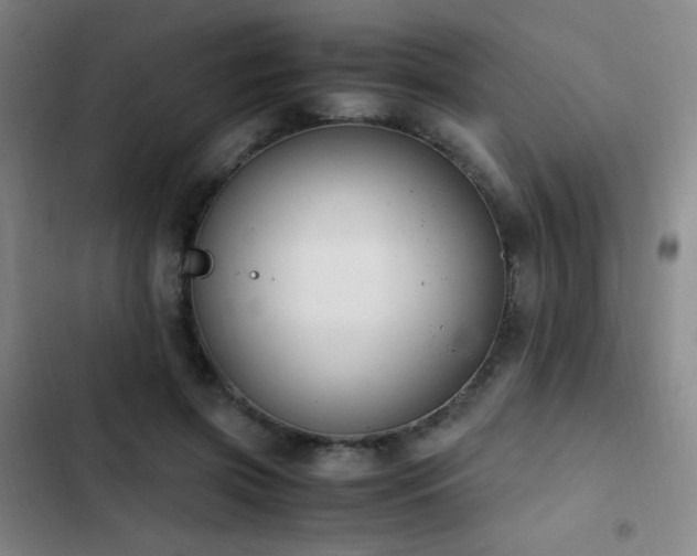 X0000103310549200808291431