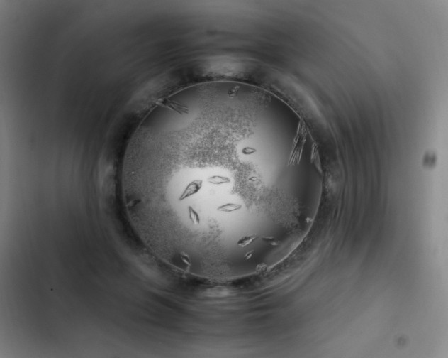 X0000103310551200808291431