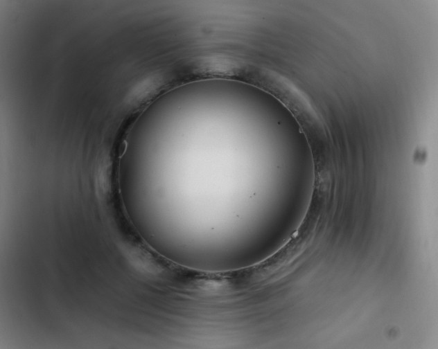 X0000103310552200808291431