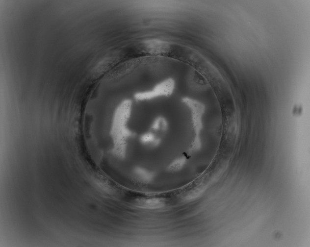 X0000103310553200808291431