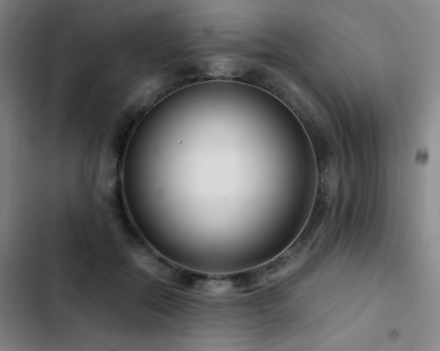 X0000103310554200808291431