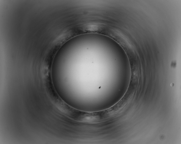 X0000103310555200808291431