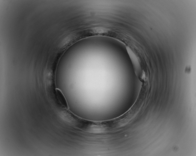 X0000103310556200808291431