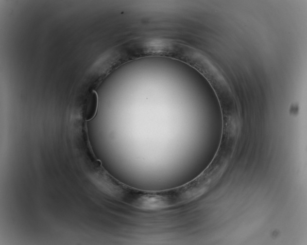 X0000103310557200808291431