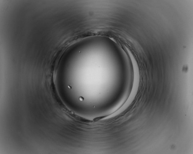 X0000103310558200808291431