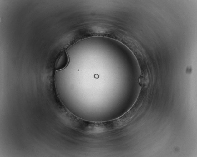X0000103310559200808291431