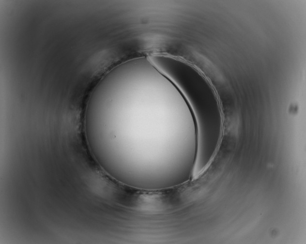 X0000103310560200808291431