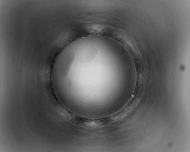 X0000103310561200808291431