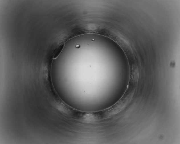 X0000103310562200808291431