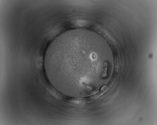 X0000103310563200808291431