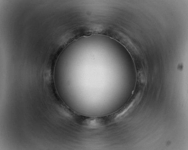 X0000103310564200808291431