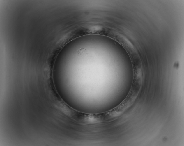 X0000103310565200808291431