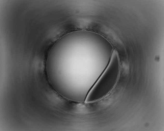 X0000103310566200808291431