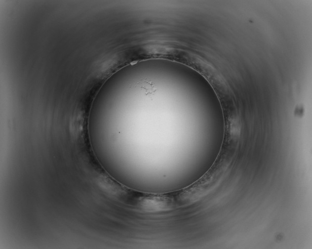 X0000103310567200808291431