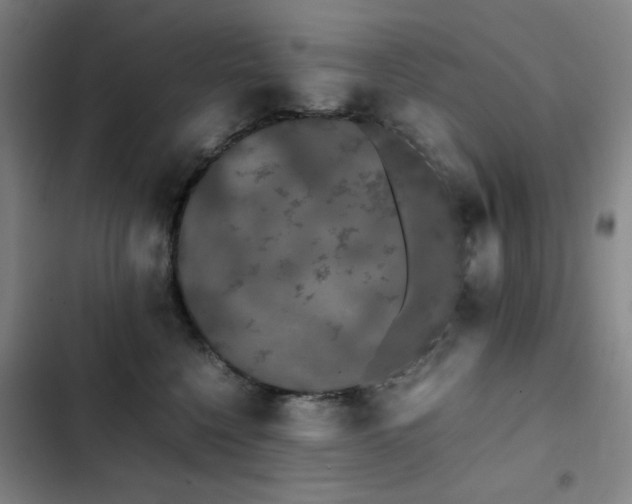 X0000103310568200808291431