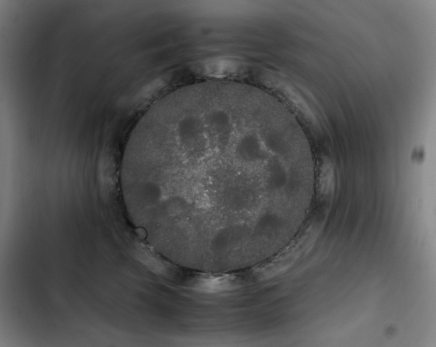 X0000103310569200808291432