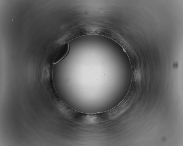 X0000103310570200808291432