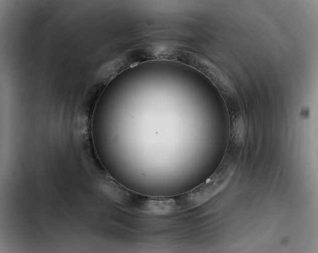 X0000103310571200808291432