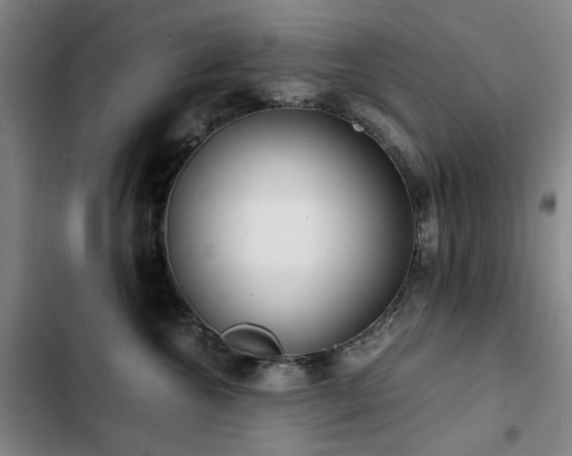 X0000103310572200808291432