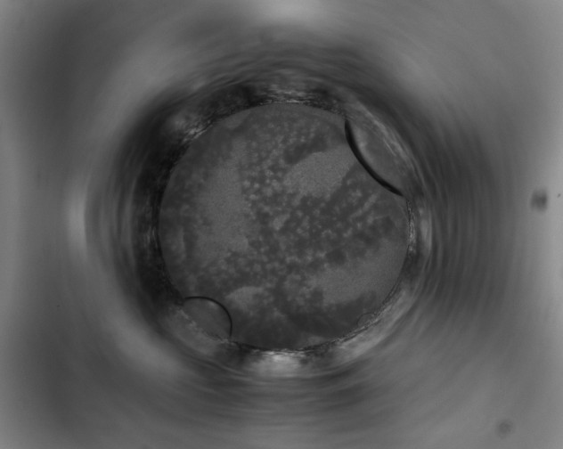 X0000103310573200808291432
