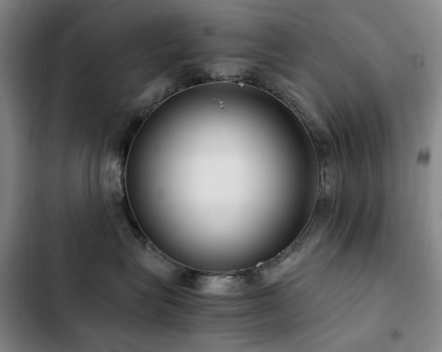 X0000103310575200808291432