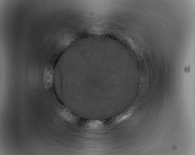 X0000103310576200808291432