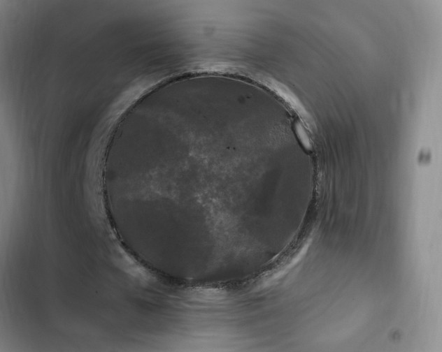 X0000103310577200808291431