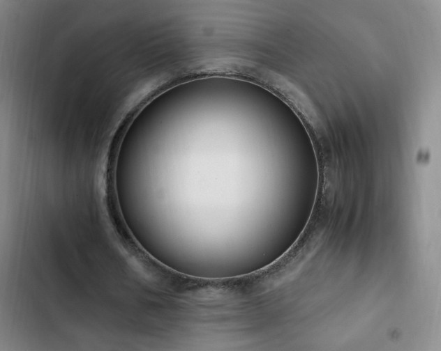 X0000103310578200808291431