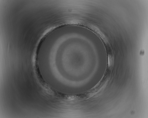 X0000103310579200808291431