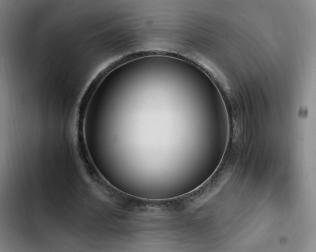 X0000103310580200808291431