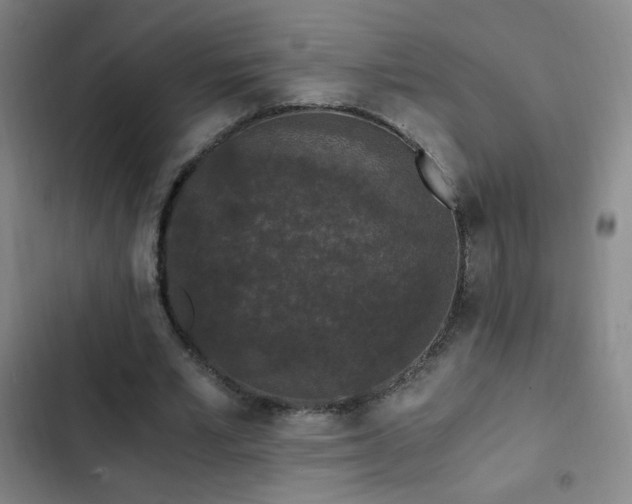 X0000103310581200808291431