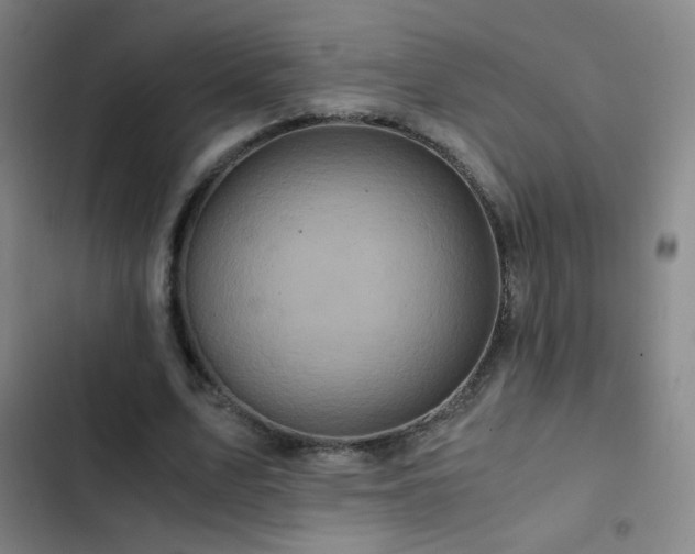 X0000103310583200808291431