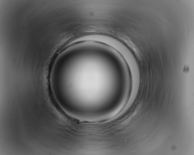X0000103310585200808291431