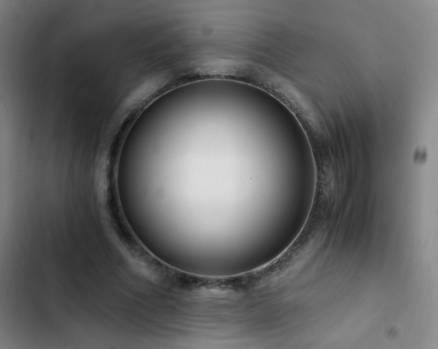 X0000103310586200808291431