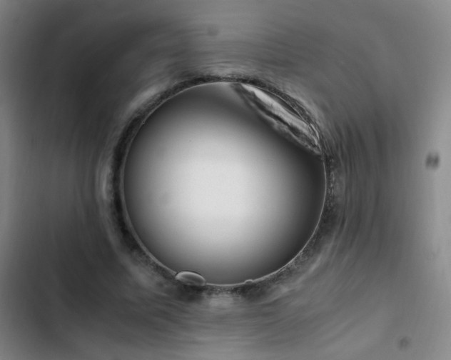 X0000103310587200808291431