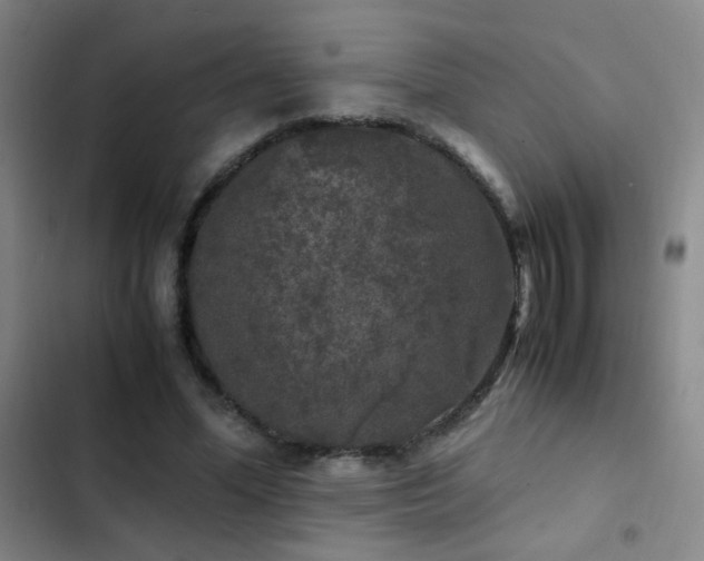 X0000103310588200808291431