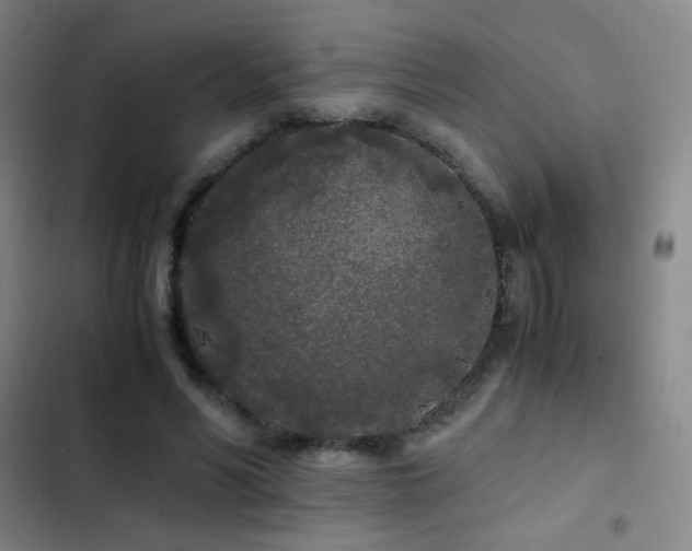 X0000103310590200808291431