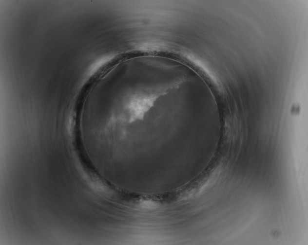 X0000103310592200808291431
