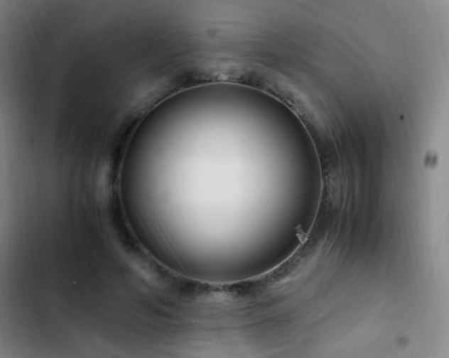 X0000103310594200808291431