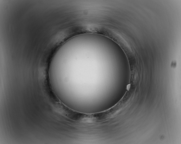 X0000103310595200808291431