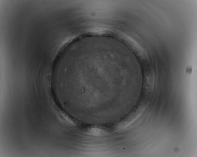 X0000103310596200808291431