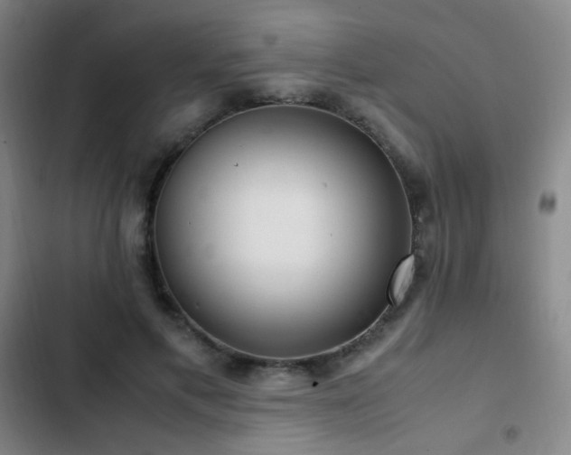 X0000103310597200808291430