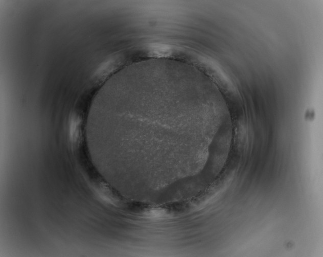 X0000103310598200808291430