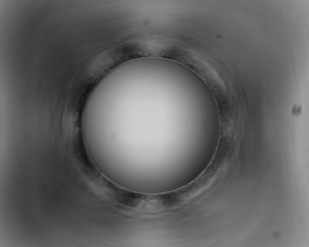 X0000103310599200808291430