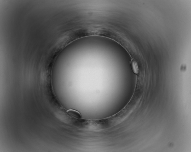 X0000103310601200808291430